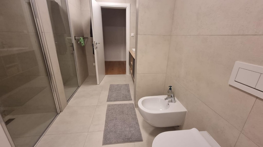 Kúpeľňa moderného apartmánu v Chorvátsku so sprchou, WC a umývadlom.
