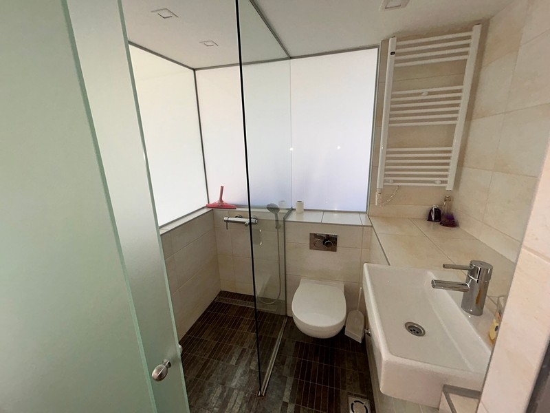 kúpeľňa so sprchovacím kútom a umývadlom,