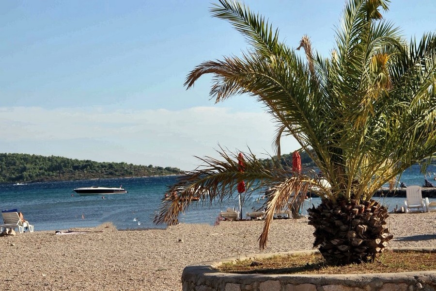 Kamienková pláž s palmami a výhľadom na more v Chorvátsku