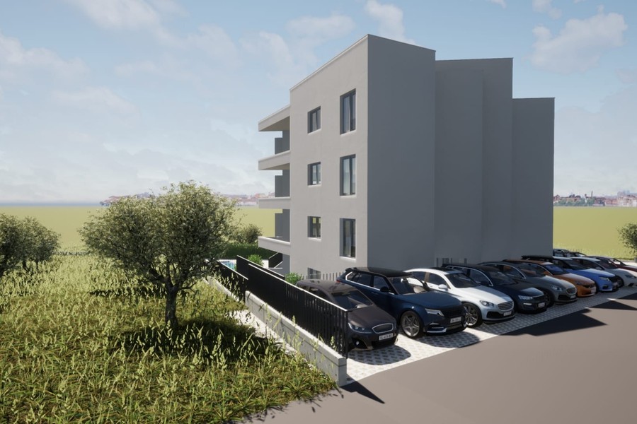 Olivovník pri prístupe k parkovacím miestam
