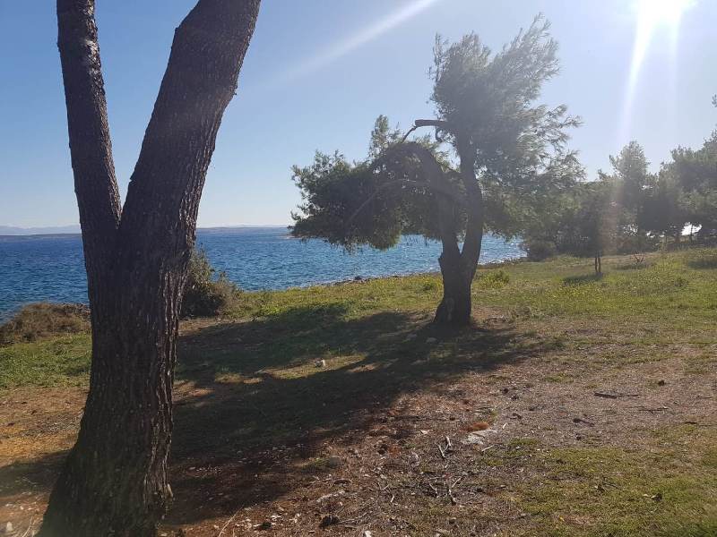 Nehnuteľnosti pri mori v Chorvátsku - Panorama Scouting Real Estate.