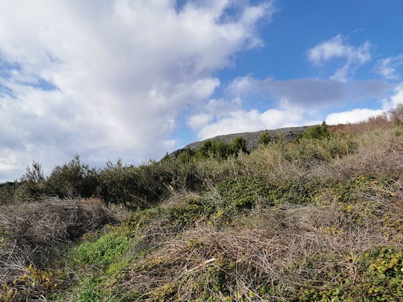 Pozemok v Chorvátsku na predaj - G382.