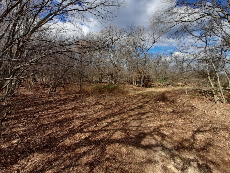 Predám pozemok v Chorvátsku, Kvarnerský záliv, ostrov Krk - Panorama Scouting Immobilien G408, kúpna cena: 480 000 EUR - Image 4