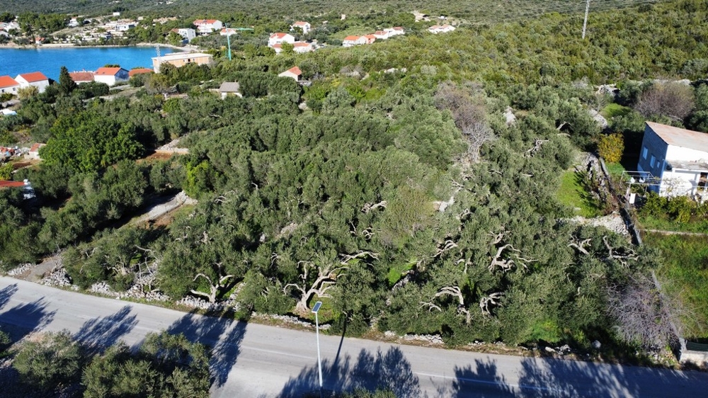 Predám stavebný pozemok v Chorvátsku.