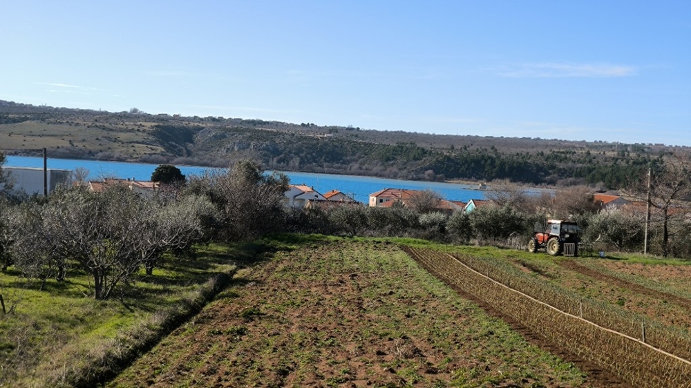 Predám stavebný pozemok v Chorvátsku - Panorama Skauting.