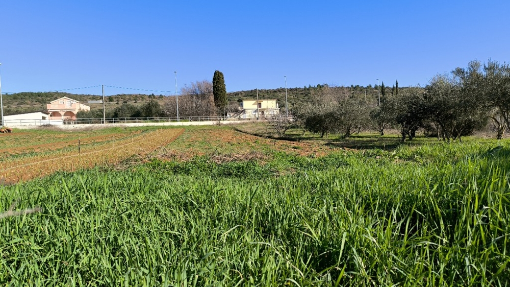 Pozemok v Posedarje na predaj.