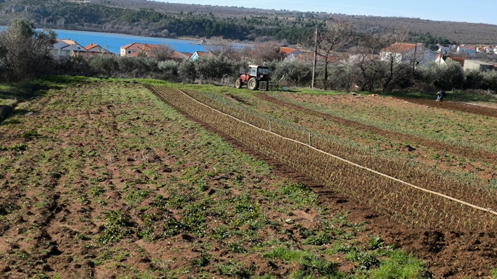 Výhľad na more z nehnuteľnosti G486 v Dalmácii.