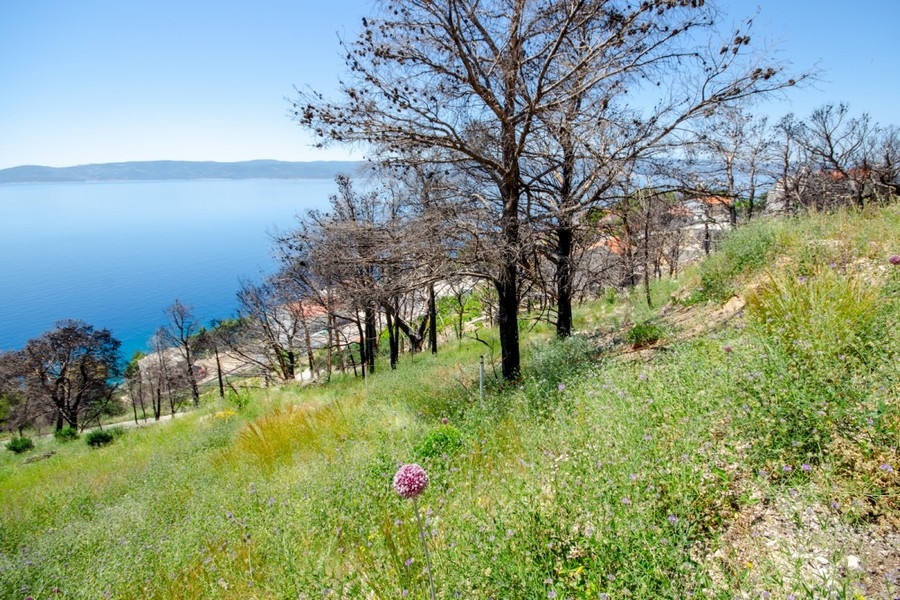 Stavebný pozemok s panoramatickým výhľadom na more Chorvátsko