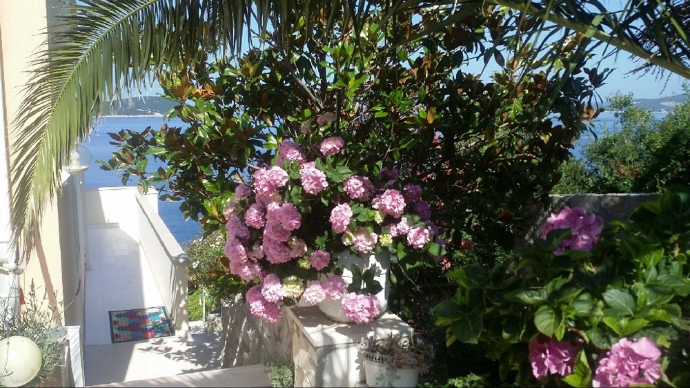 Výhľad na stredomorskú záhradu a vstupnú časť nehnuteľnosti - kúpte vilu v Chorvátsku.
