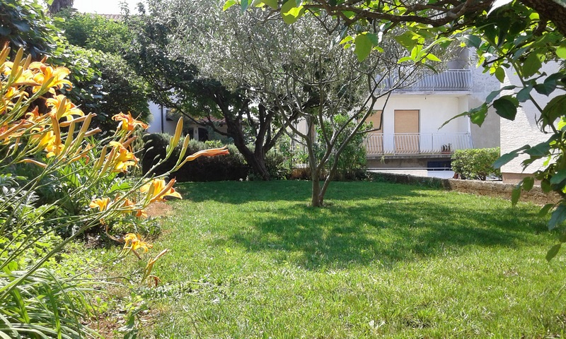 Záhrada pozemku H1816 pri Zadare v Chorvátsku - Panorama Scouting Real Estate.