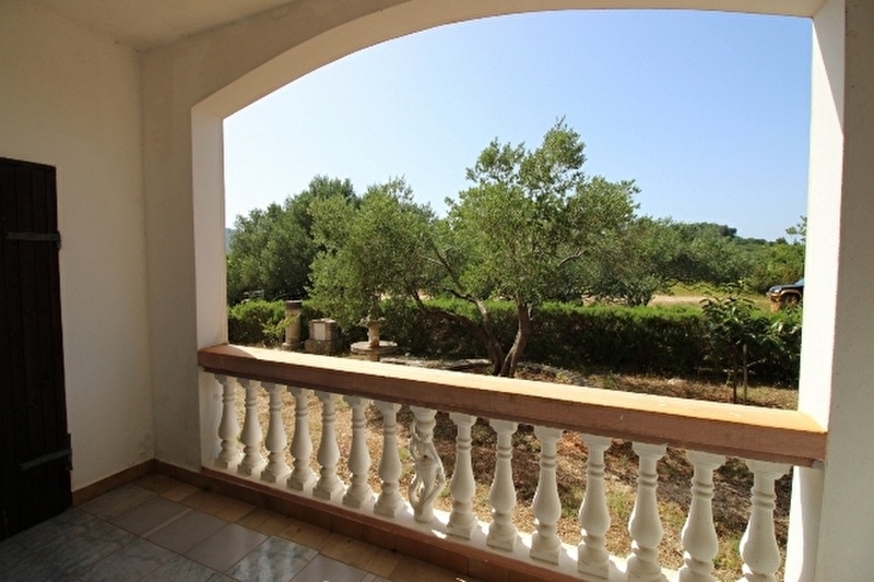 Výhľad z prízemia do zelene.