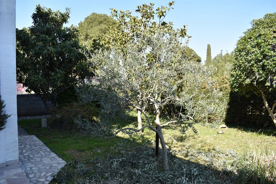 Predám dom v Chorvátsku, Severná Dalmácia, ostrov Ugljan / Pašman / Dugi Otok - Panorama Scouting Immobilien H2133, kúpna cena: 520 000 EUR - obrázok 5