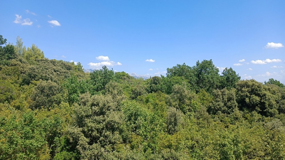 Predám dom v Chorvátsku, Severná Dalmácia, Zadar - Panorama Scouting Immobilien H2267, kúpna cena: 490 000 EUR - Obrázok 2