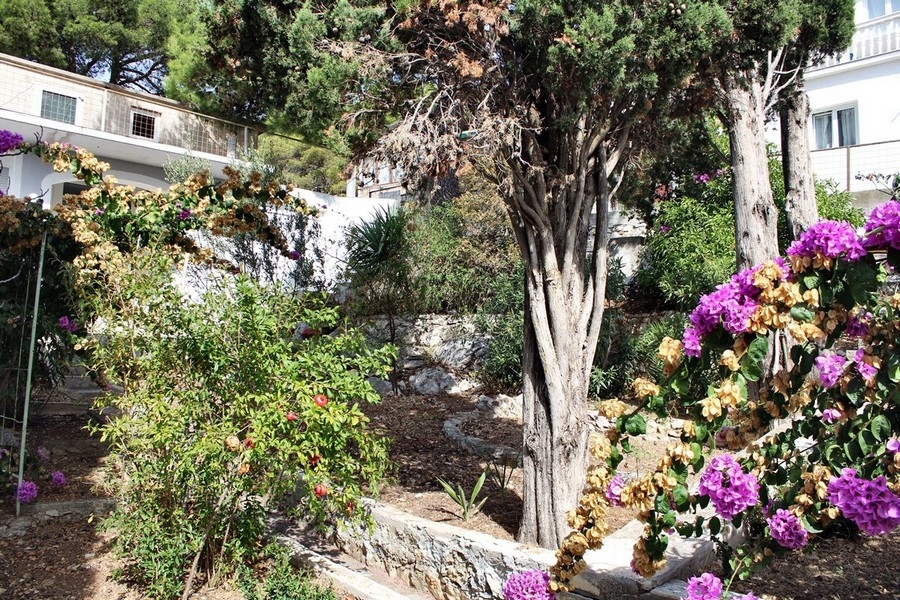 Predám dom v Chorvátsku, Severná Dalmácia, ostrov Murter Tisno - Panorama Scouting Immobilien H2295, kúpna cena: 590 000 EUR - obrázok 9