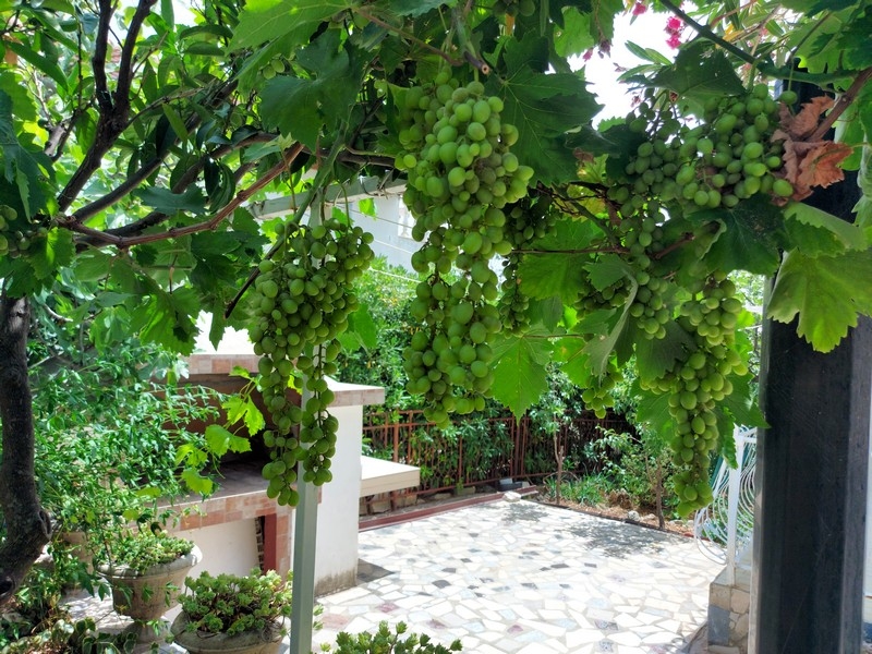 Grilovanie v záhrade domu