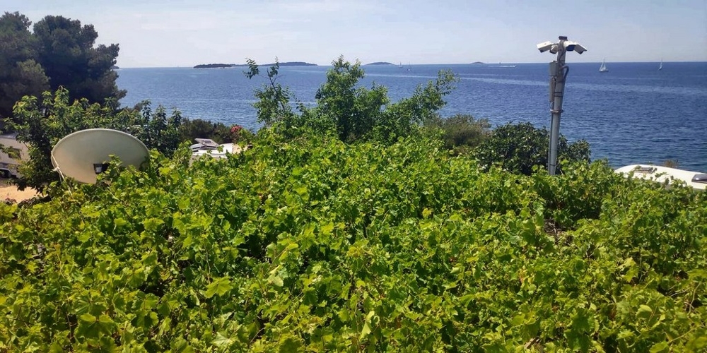 Výhľad na more z nehnuteľnosti H2634 v Chorvátsku - Panorama Skauting.