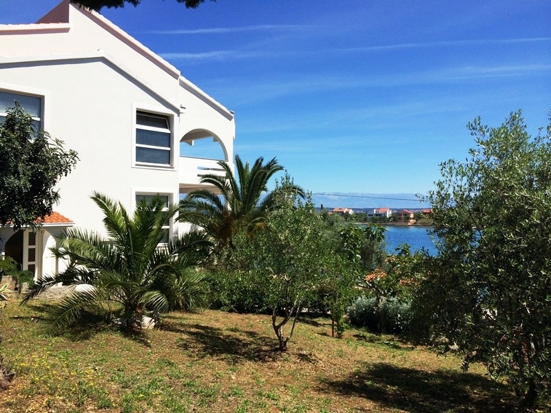 Prímorská vila na ostrove Ugljan na predaj - Panorama Skauting Chorvátsko.