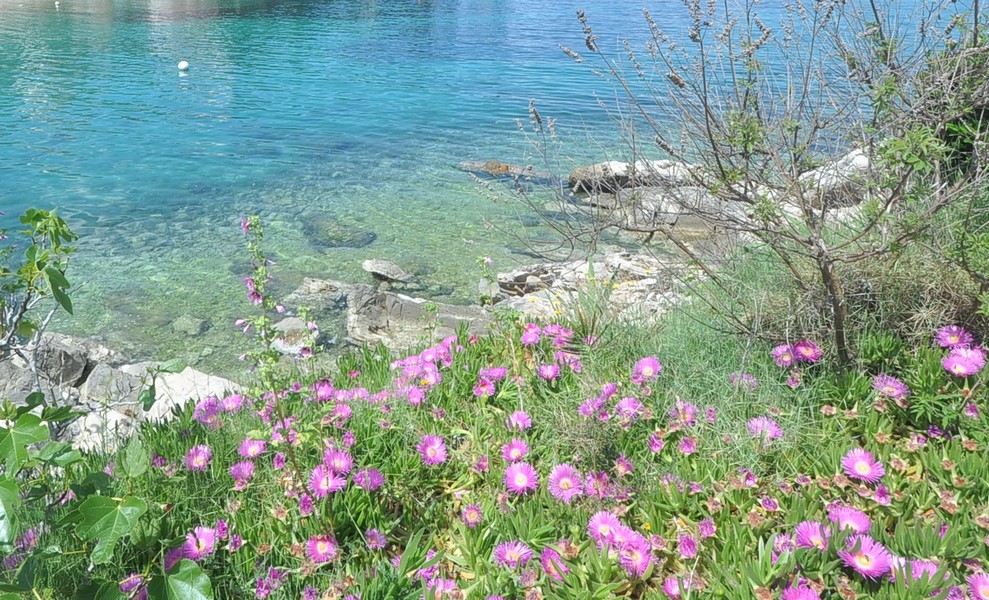Idylická prímorská krajina pri dome v Chorvátsku, ideálna na kúpu.