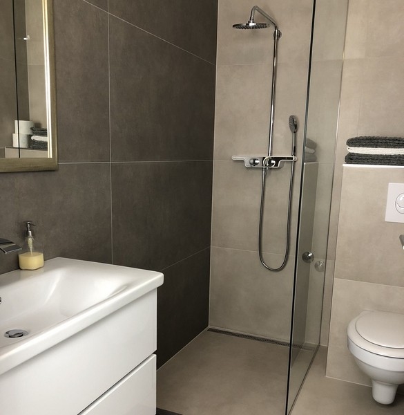 Moderná kúpeľňa so skleneným sprchovacím kútom a štýlovými obkladmi v nehnuteľnosti v Chorvátsku