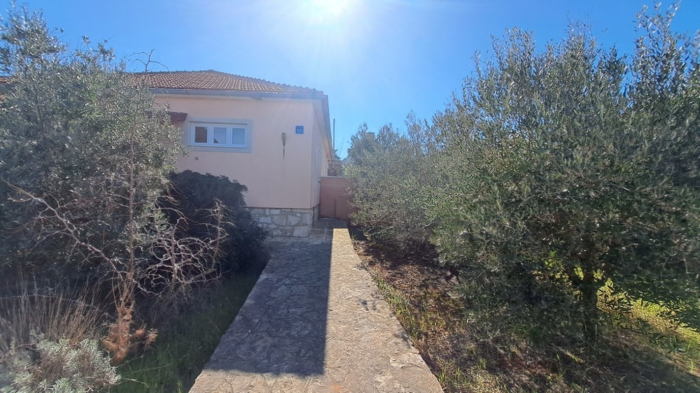 Cesta k vchodu do domu s olivovníkmi na boku, prímorská nehnuteľnosť v Chorvátsku
