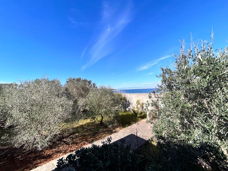 Slnečný záhradný chodník s výhľadom na more, súčasť prímorskej nehnuteľnosti v Chorvátsku