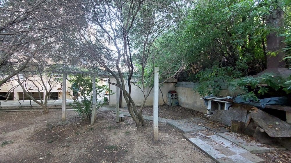 Záhrada so stromami a rastlinami v dome v Chorvátsku