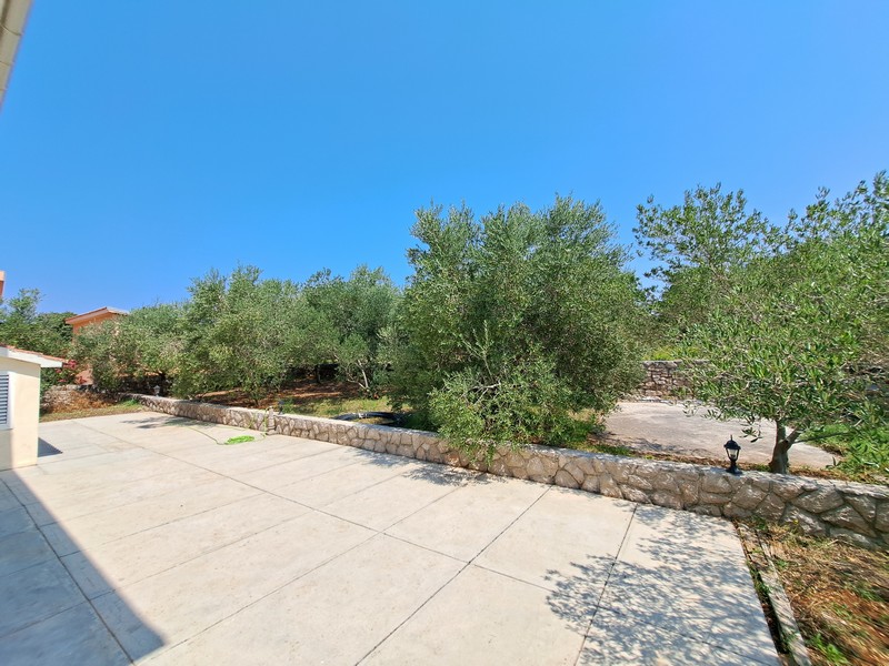 Terasa a výhľad na olivovníky pred domom.