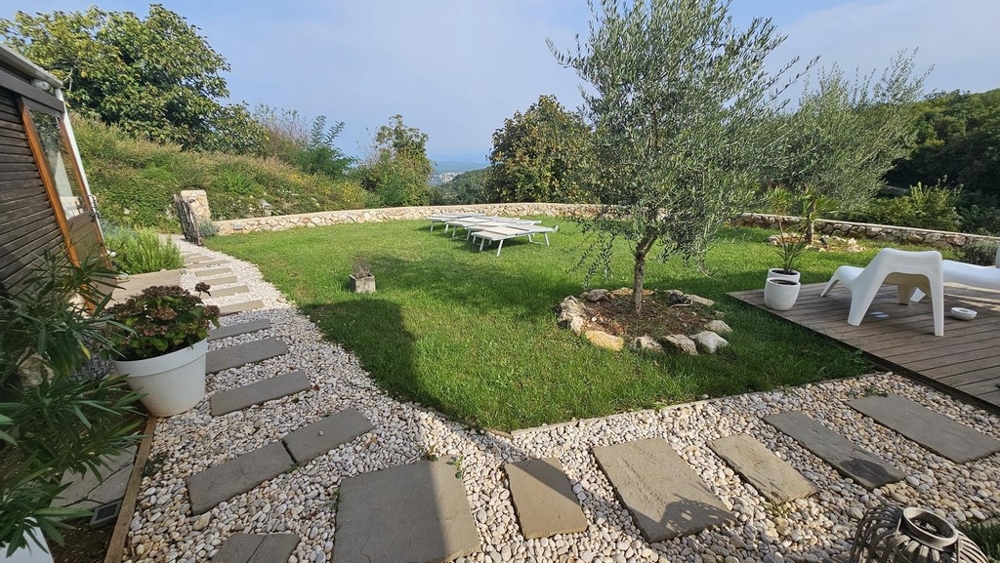 Dobre udržiavaná záhrada s olivovníkom a ležadlami, obklopená prírodou a kamenným múrom.