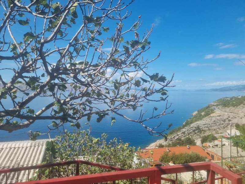 Pohľad na more cez konáre figovníka na kopci s domami v pozadí.