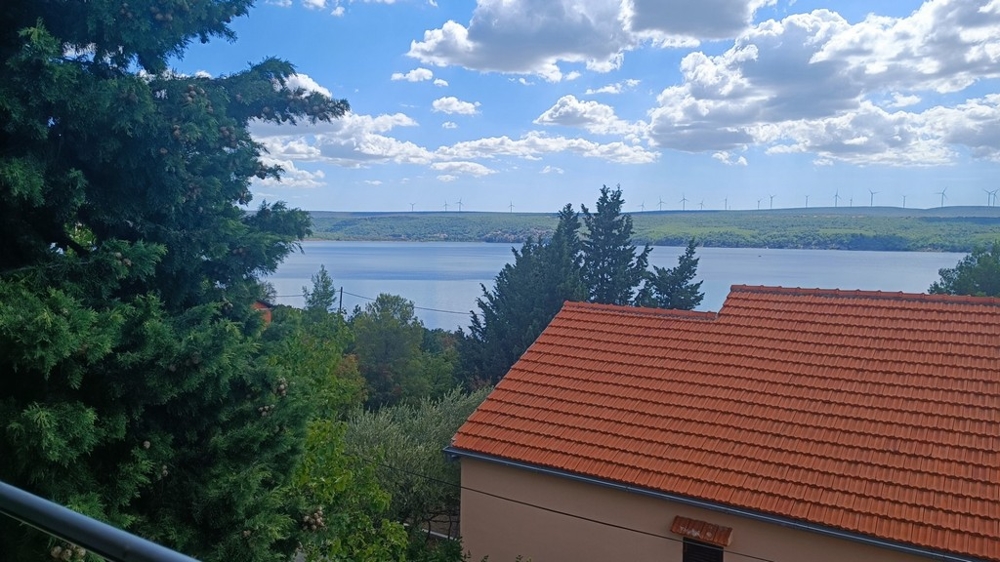 Pohľad na more za stromami