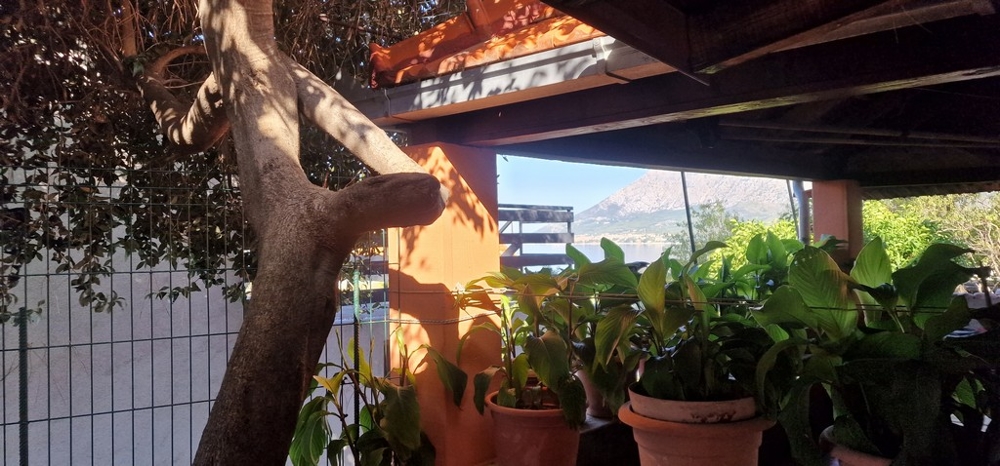 Terasa s výhľadom na strom a hory v pozadí