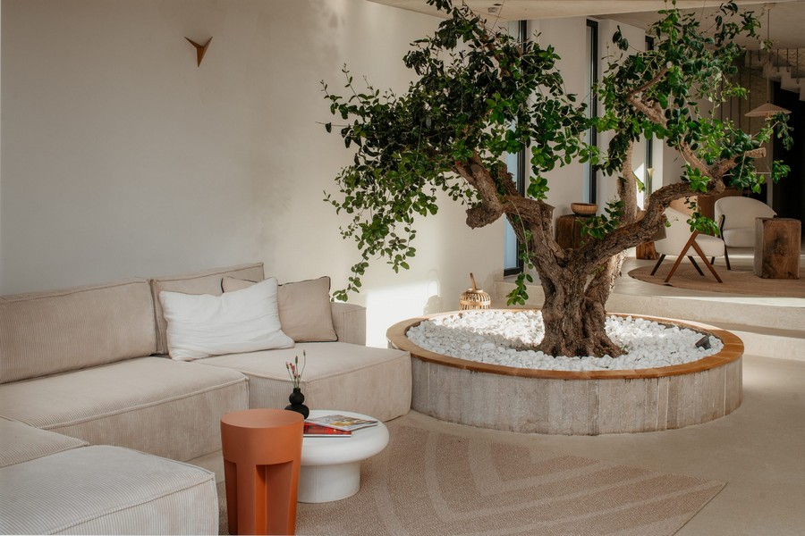 Obývacia izba s integrovaným stromom a svetlým nábytkom