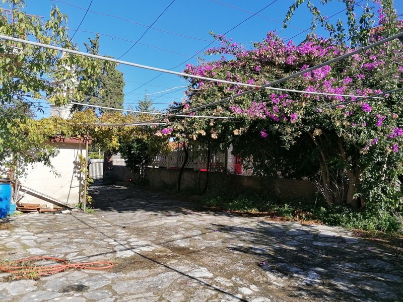 Záhrada s bugenvileami a kamennou podlahou