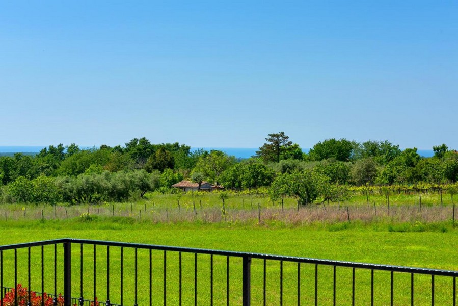 Pohľad na zeleň s morom v pozadí