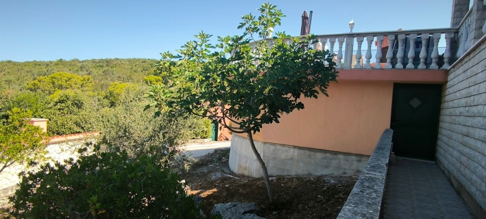 Záhrada so stromom a vstupom do domu