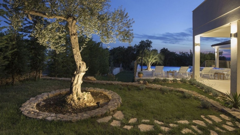 Záhrada s osvetleným olivovníkom a večerným výhľadom na bazén