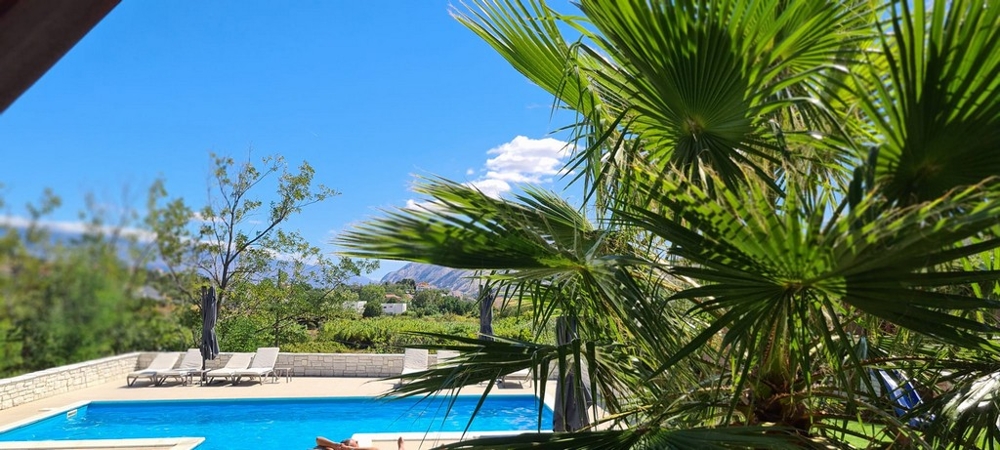 Bazén s výhľadom na palmy