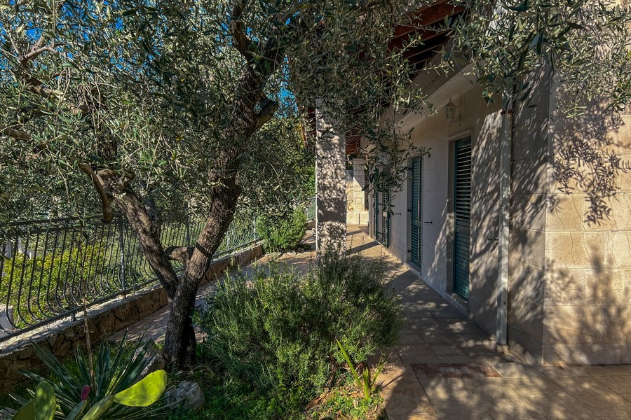 Stredomorská záhrada s olivovníkom pri dome