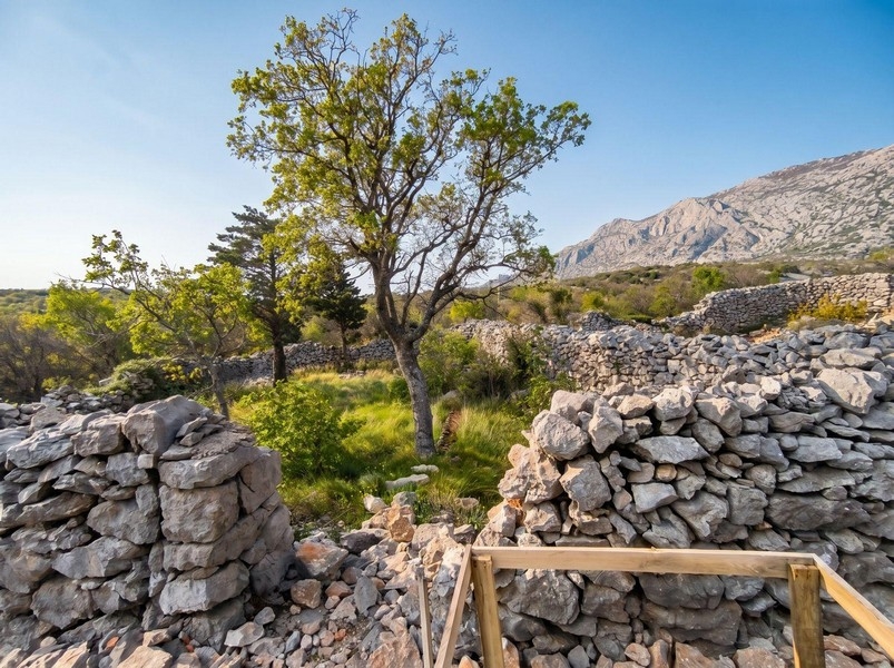 Nehnuteľnosť na predaj v stredomorskej lokalite v Chorvátsku.