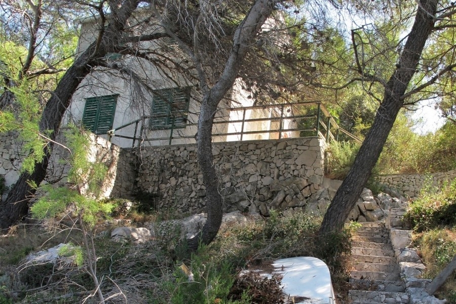 Kamenný dom medzi borovicami na ostrove Brač