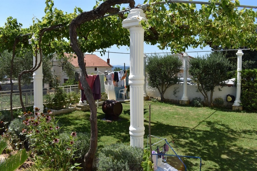 Pergola s viničom v záhrade