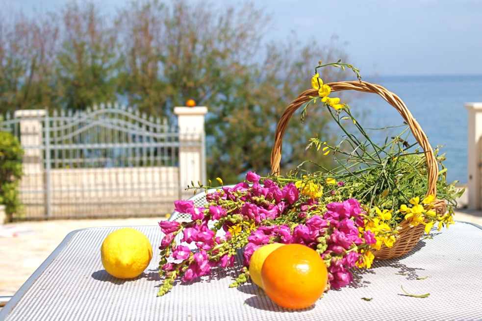 Dojmy z vonkajšieho areálu nehnuteľnosti H826 na Brači v Dalmácii.